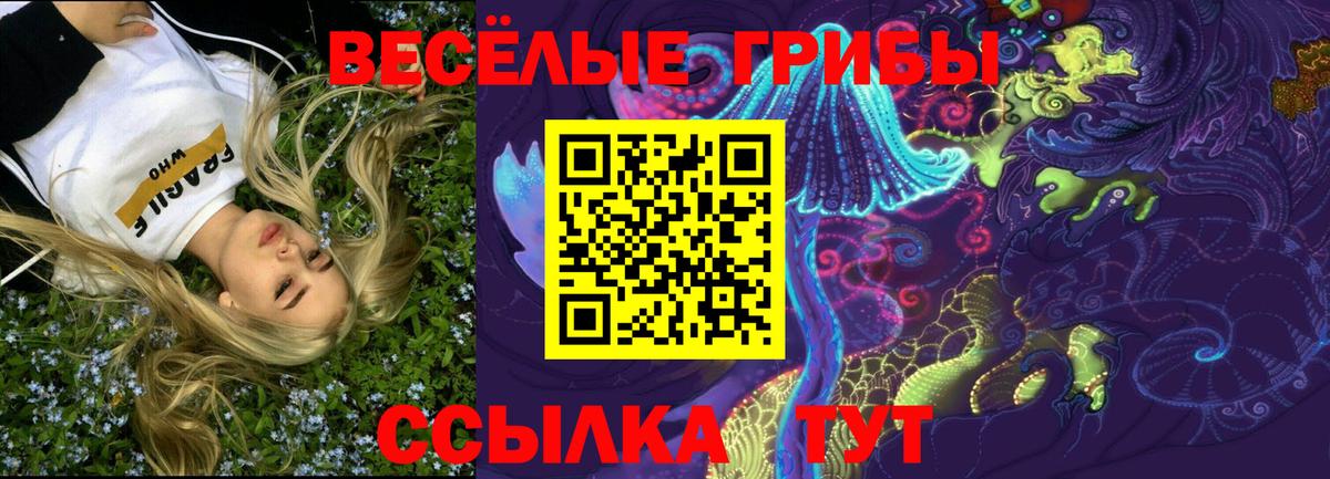 Вологда  Псилоцибиновые грибы мицелий  Вход с VPN  Псилоцибиновые грибы мицелий 