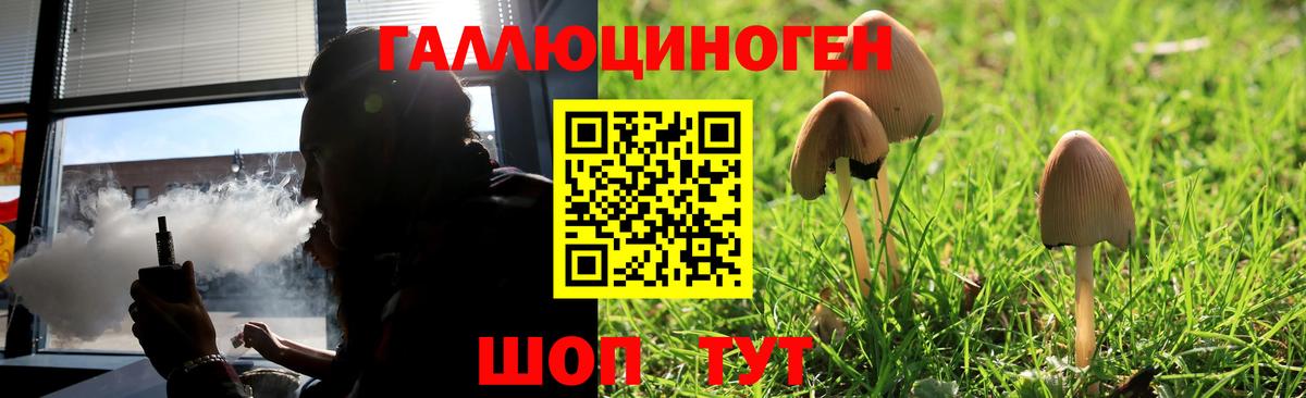 Галлюциногенные грибы мицелий Вологда